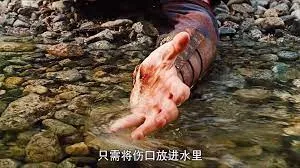 中国 第三季