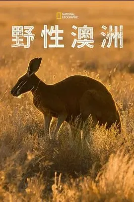 甜心辣舞2